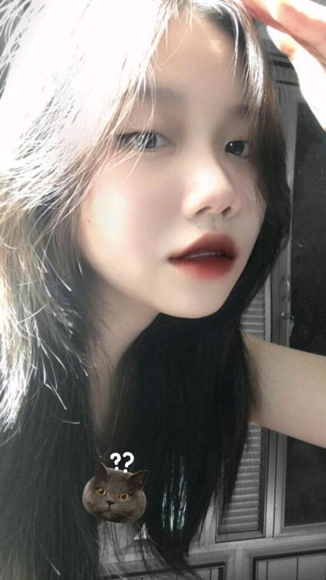 亲爱的老师大陆剧免费观看